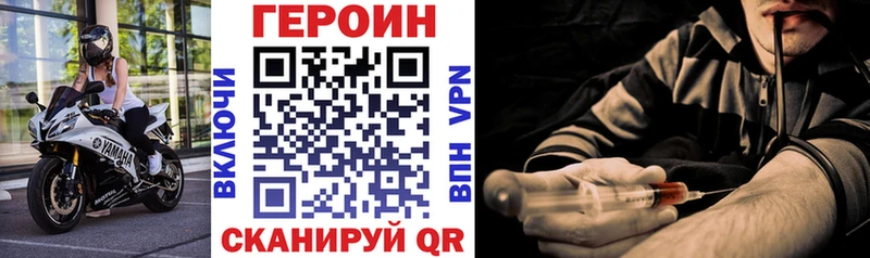 ГЕРОИН хмурый  Сольвычегодск 