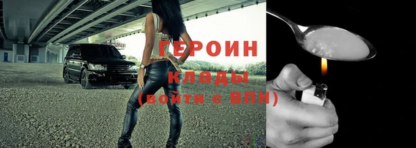 гидра Елабуга