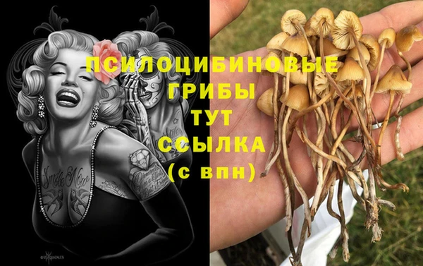 MDMA Елизово