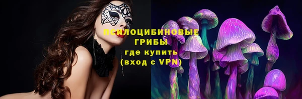 MDMA Елизово