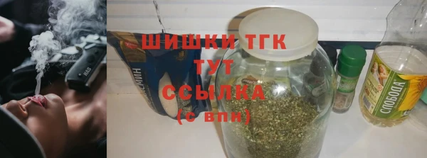 гидра Елабуга