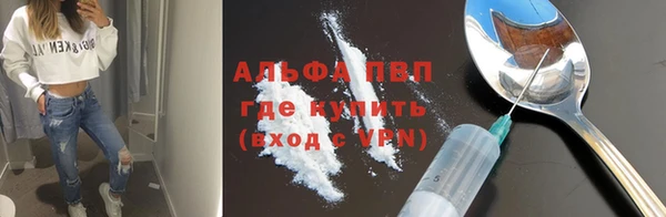 гидра Елабуга