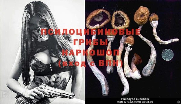 гидра Елабуга