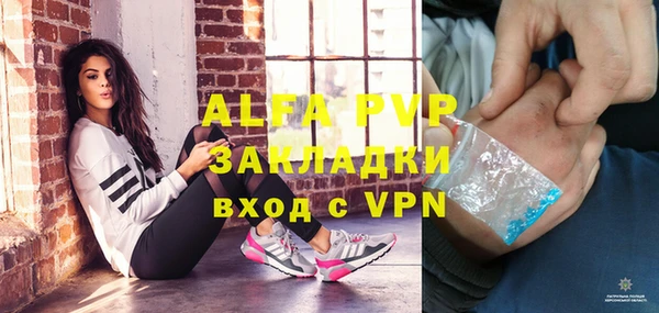 гидра Елабуга