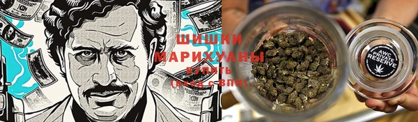 гидра Елабуга