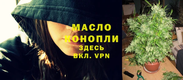 гидра Елабуга