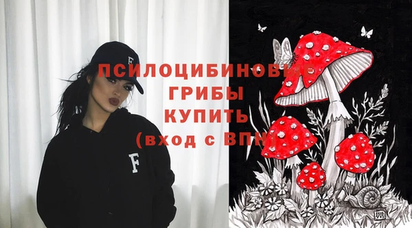гидра Елабуга
