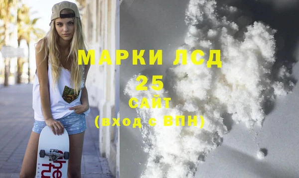 гидра Елабуга