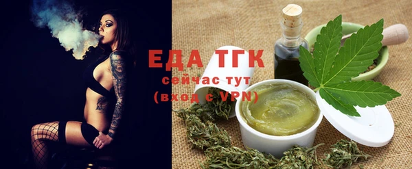 гидра Елабуга