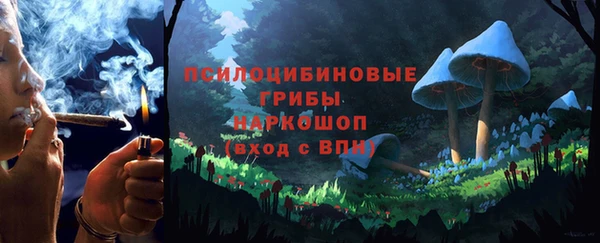 гидра Елабуга
