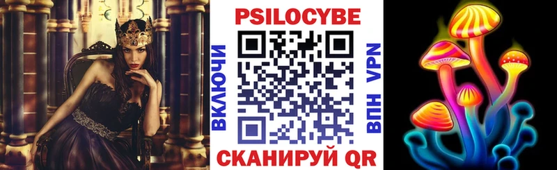 ссылка на мегу вход  купить наркоту  Сольвычегодск  Галлюциногенные грибы Psilocybine cubensis 