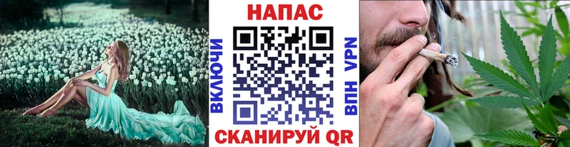 Бошки марихуана White Widow  магазин продажи наркотиков  Сольвычегодск 